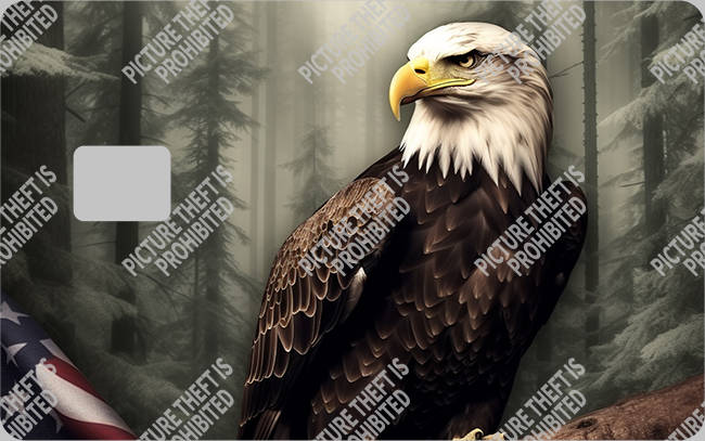 Bank  Card Sticker-BC-1509
